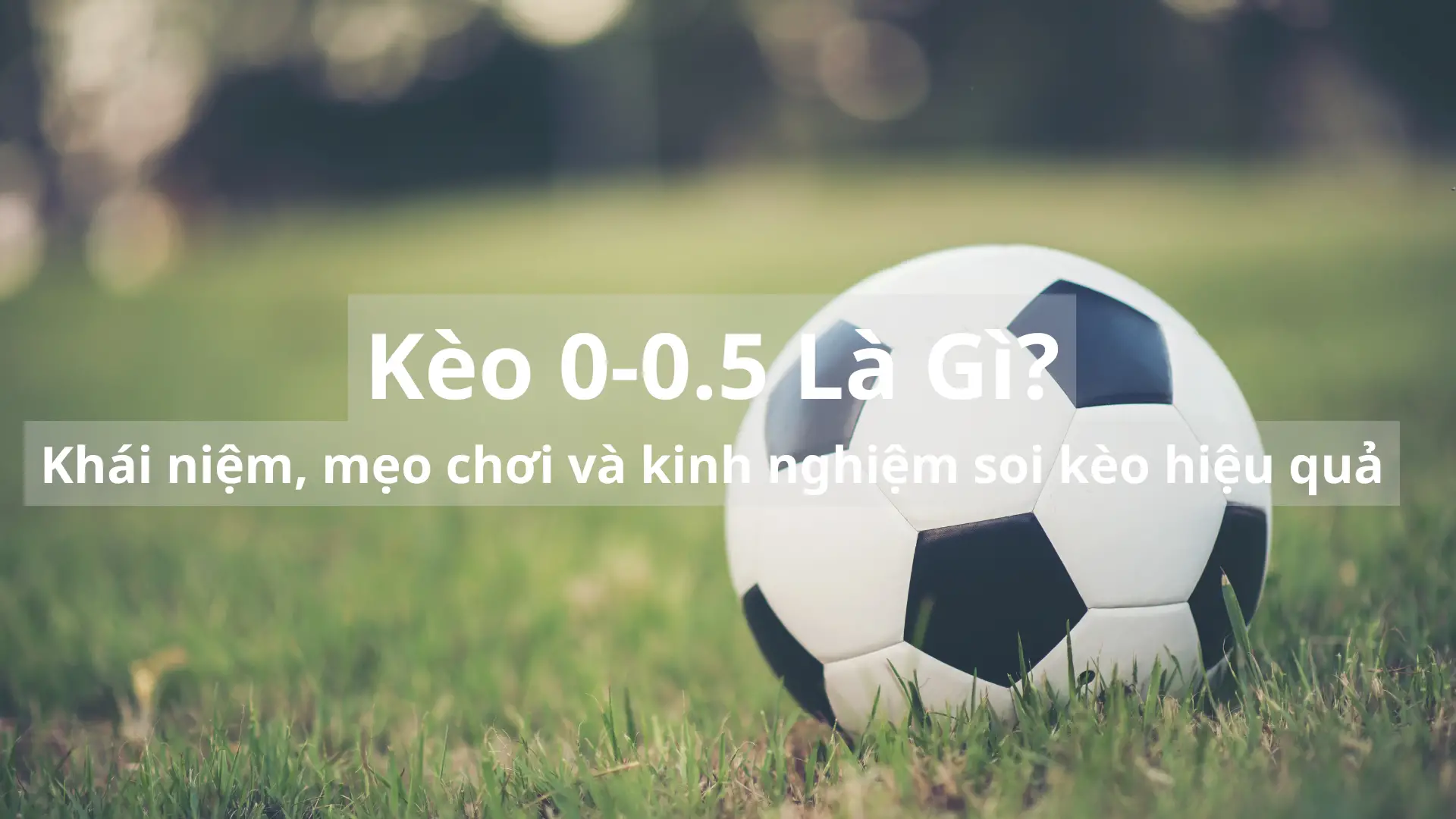 Kèo 0-0.5 Là Gì? Khái niệm, mẹo chơi và kinh nghiệm soi kèo hiệu quả