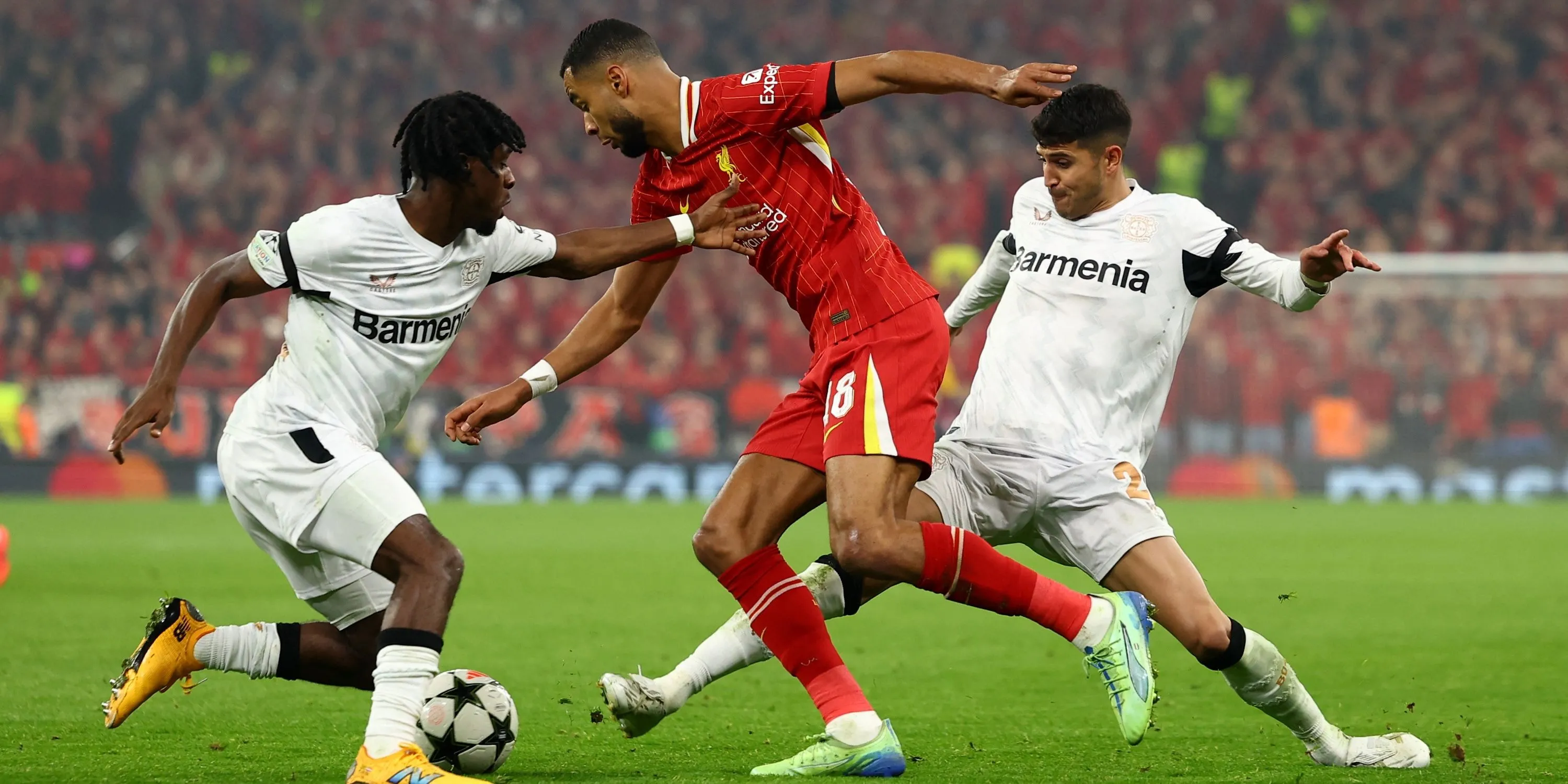 Cody Gakpo của Liverpool tranh bóng với cầu thủ Bayer Leverkusen, minh họa thể chất của tiền đạo người Hà Lan