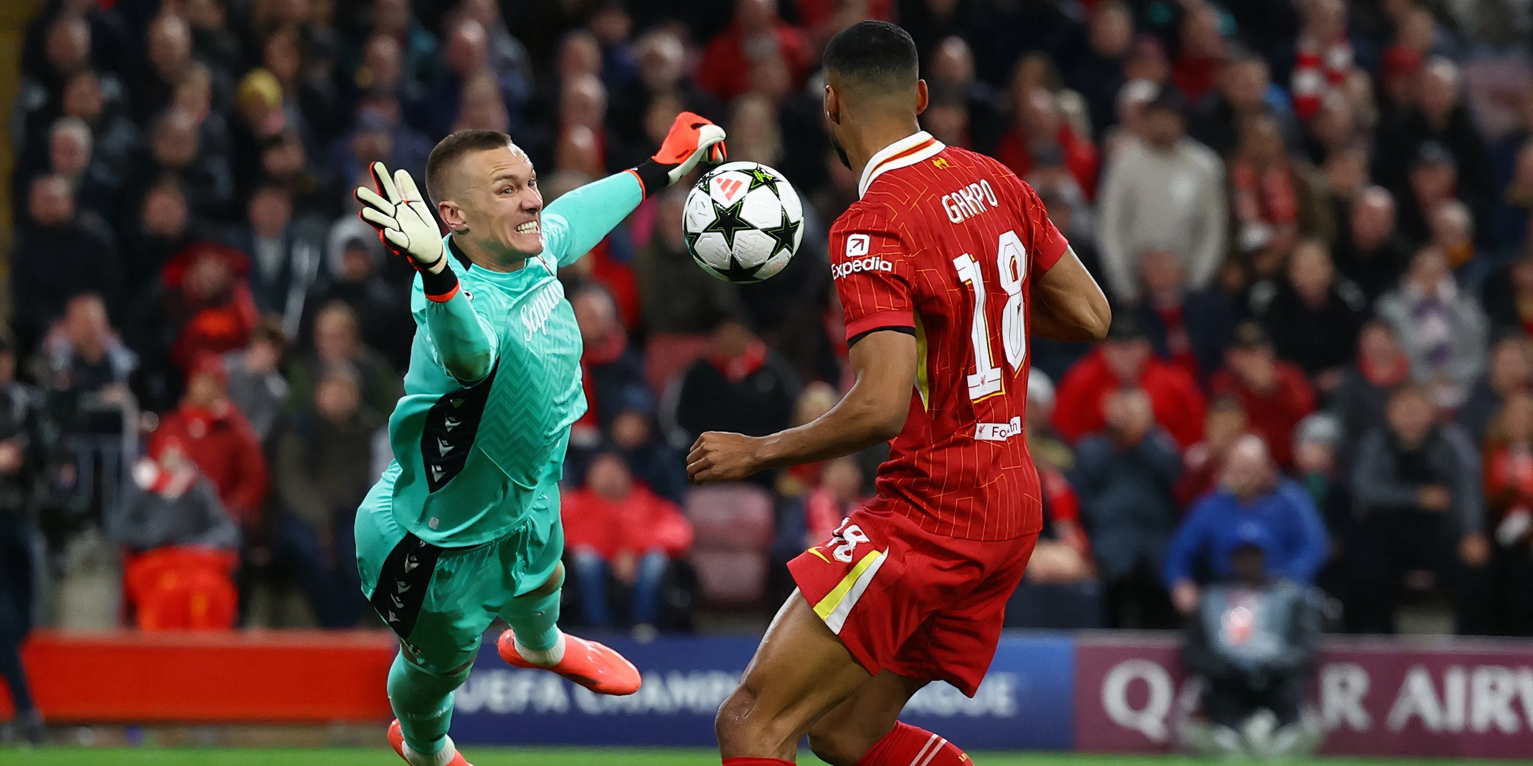 Cody Gakpo thi đấu tại Champions League, tiền đạo có thể chơi nhiều vị trí