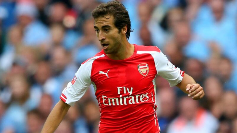 Mathieu Flamini và khối tài sản từ kinh doanh